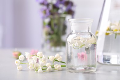 Laboratory glassware with different flowers on light table. Essential oil extraction