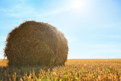 Round rolled hay bale in agricultural field on sunny day