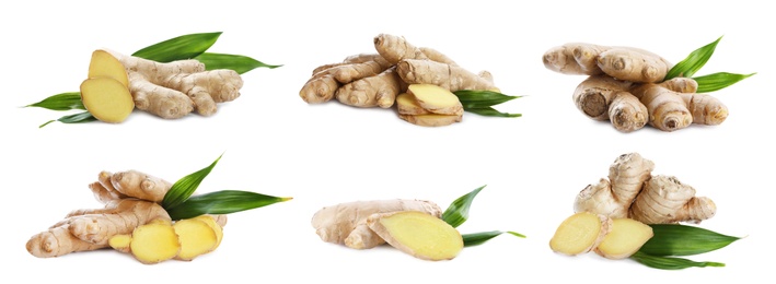 Image of Set of fresh aromatic ginger with green leaves on white background. Banner design