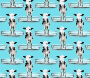Small cows in Petri dishes on turquoise background, pattern design. Cultured meat concept
