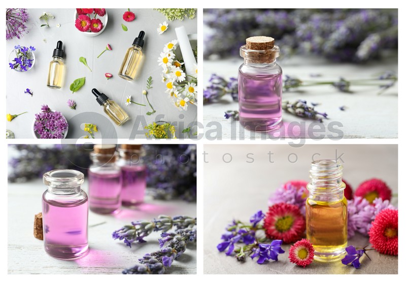 Collage of different photos with essential oils and flowers