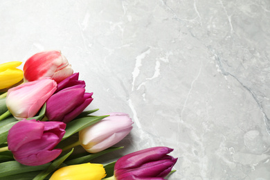 Beautiful spring tulips on grey marble table, flat lay. Space for text