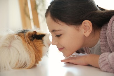 Photo of Happy little girl with guinea pig at home. Childhood pet