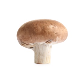 Photo of Fresh whole champignon mushroom isolated on white