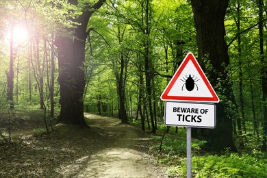 Warning sign Beware of ticks in forest on sunny day