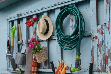 Photo of Beautiful plant, gardening tools and accessories on shed wall