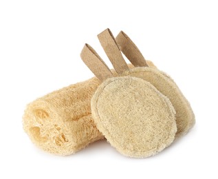 Different natural loofah sponges isolated on white