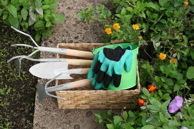 Wicker basket with gloves and gardening tools near flowers outdoors