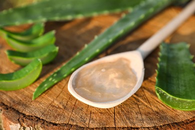 Photo of Green aloe vera leaves and spoon of gel on stump, closeup