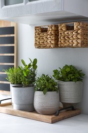 Different aromatic potted herbs on white table indoors