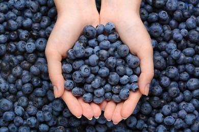 Woman holding heap of juicy fresh blueberries, top view