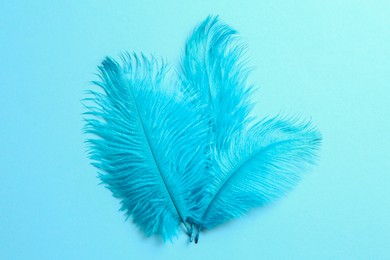 Beautiful delicate feathers on light blue background, top view