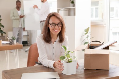 Photo of New coworker with plant at workplace in office