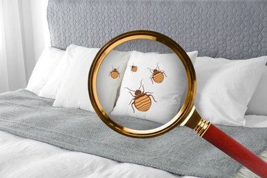 Image of Magnifying glass detecting bed bug in bedroom, closeup view