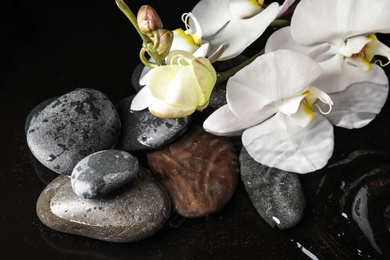 Stones and orchid flowers in water on black background. Zen lifestyle