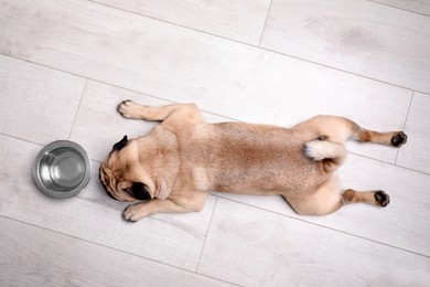 Cute pug dog suffering from heat stroke near bowl of water on floor at home, top view