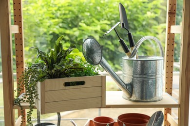 Photo of Beautiful plants and gardening tools on rack indoors