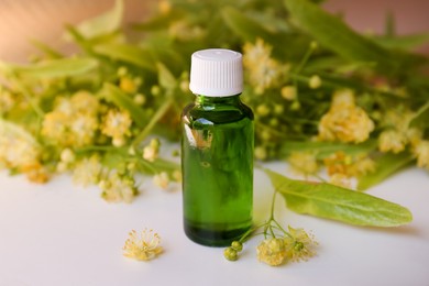 Bottle of essential oil and linden blossoms on white table