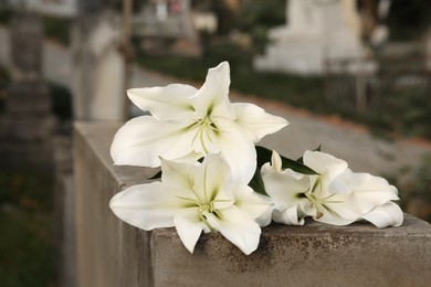 White lilies on grey tombstone outdoors, closeup. Funeral ceremony
