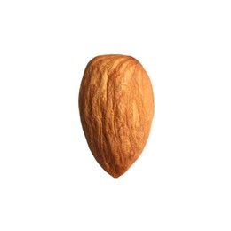 Organic almond nut isolated on white. Healthy snack