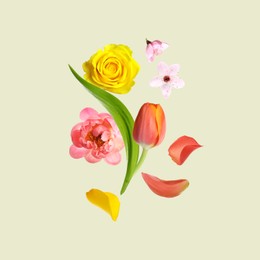 Different beautiful flowers flying on light background