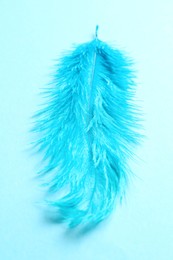 Beautiful delicate feather on light blue background, above view