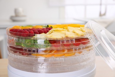 Cut fruits and with vegetables in dehydrator machine, closeup
