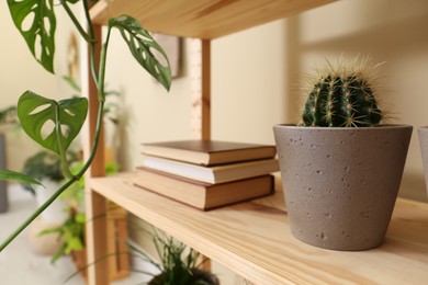 Beautiful houseplants and books on shelving unit near beige wall, closeup
