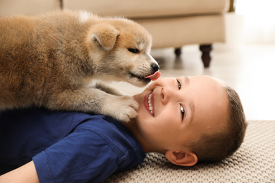 Little boy with Akita inu puppy on floor at home. Friendly dog