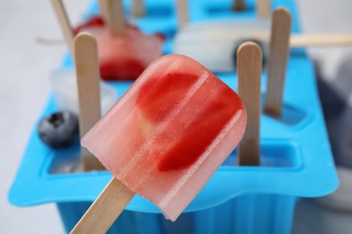 Mold with fruit and berry ice pops, closeup