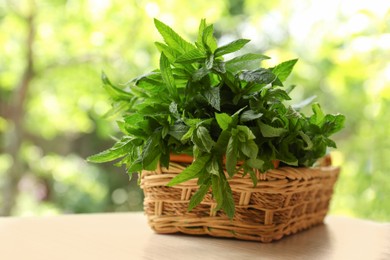 Photo of Beautiful green mint in wicker basket on white wooden table outdoors