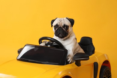 Adorable pug dog in toy car on yellow background
