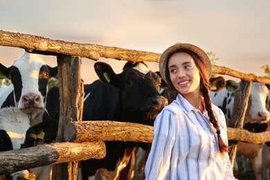 Young woman standing near cow pen on farm. Animal husbandry