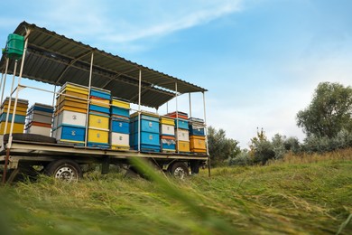 Trailer with many colorful beehives at apiary
