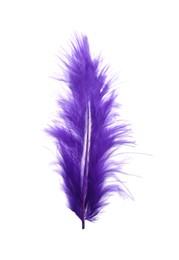 Fluffy beautiful purple feather isolated on white
