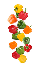 Image of Falling different ripe bell peppers on white background