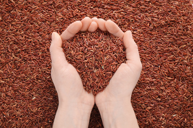 Woman holding brown rice over pile of grains, top view