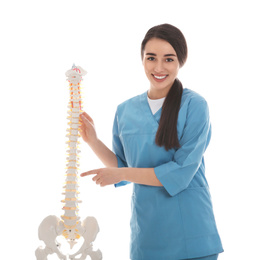 Young orthopedist with human spine model on white background