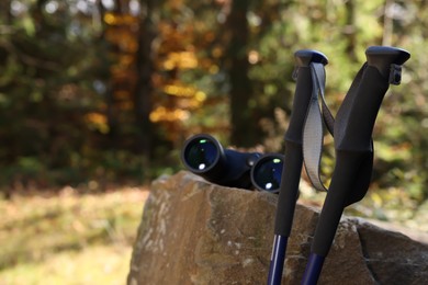 Binoculars and trekking poles in forest on sunny day. Space for text