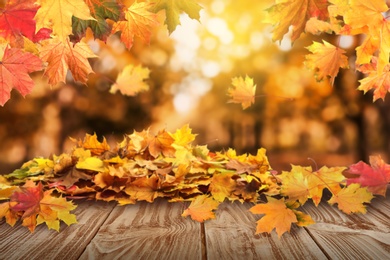 Image of Wooden surface with beautiful autumn leaves on blurred background