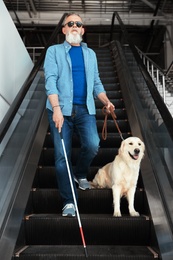 Blind person with long cane and guide dog on escalator indoors