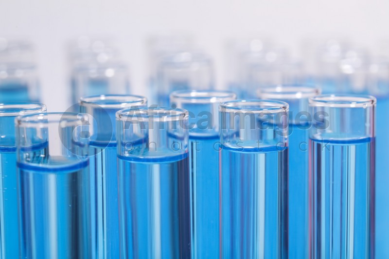 Test tubes with blue reagents on light background, closeup. Laboratory analysis