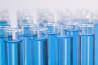 Test tubes with blue reagents on light background, closeup. Laboratory analysis