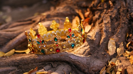 Beautiful golden crown on tree roots outdoors. Fantasy item