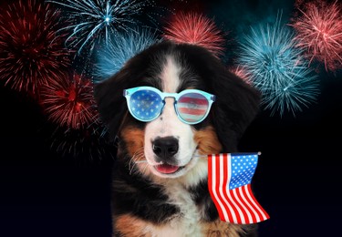 4th of July - Independence Day of USA. Cute dog with sunglasses and American flag on dark background with fireworks 