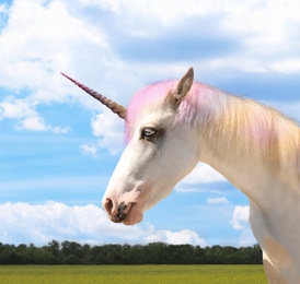Amazing unicorn with beautiful mane in field on sunny day