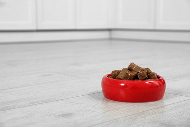 Wet pet food in feeding bowl on floor indoors, space for text