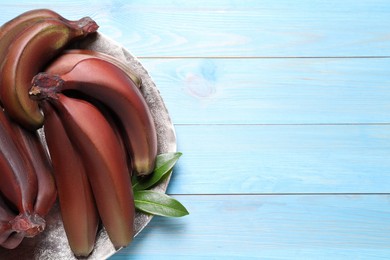 Tasty red baby bananas on light blue wooden table, top view. Space for text