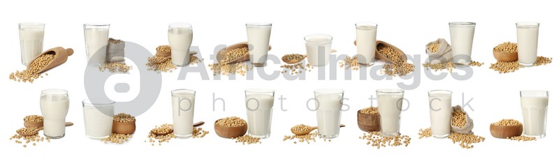 Set with natural soy milk and beans on white background. Banner design