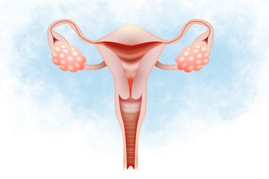 Illustration of female reproductive system on light background